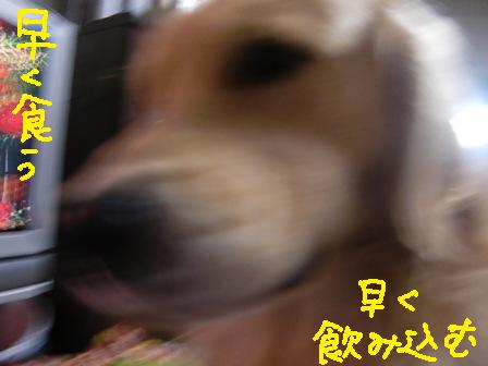 f0176830_13383760.jpg