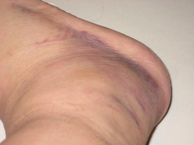 e0166032_223997.jpg