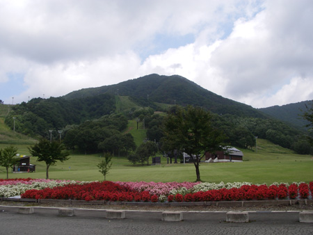 e0008833_1240670.jpg