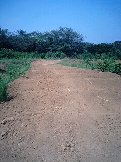 e0129633_21182144.jpg