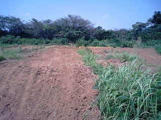 e0129633_21304714.jpg