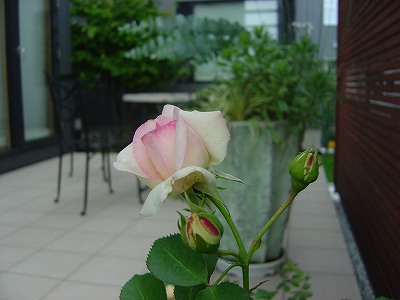 f0205733_0202650.jpg