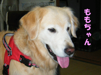 f0008935_1347575.gif