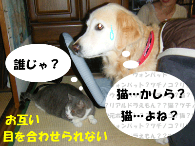 f0008935_1348978.gif
