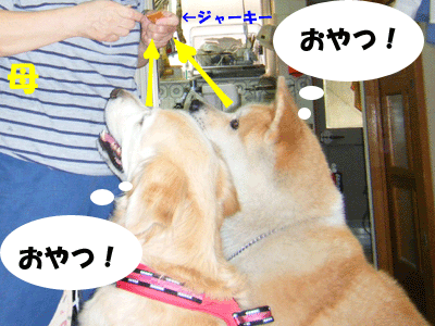 f0008935_13501439.gif