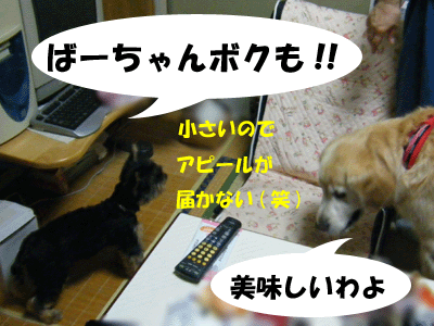 f0008935_13521076.gif
