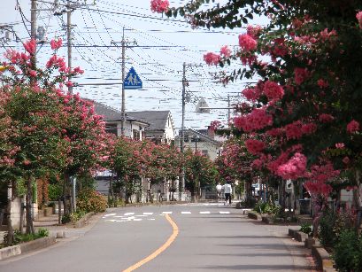 d0093936_1122652.jpg