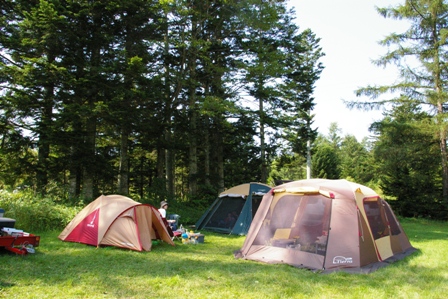 c0105338_22285795.jpg
