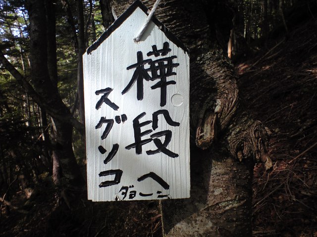 d0107938_1916950.jpg