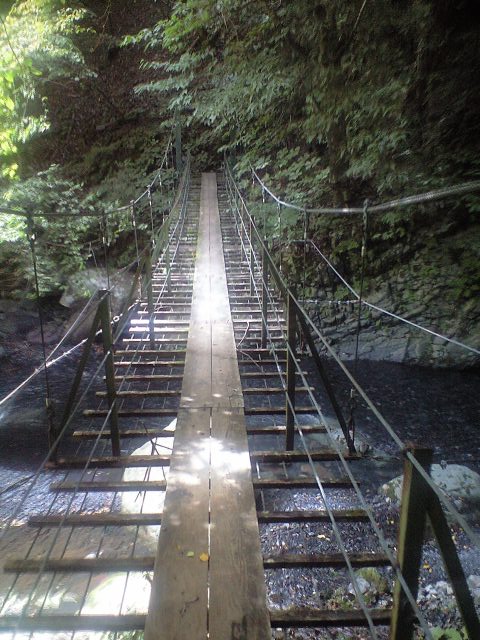 d0107938_19204687.jpg