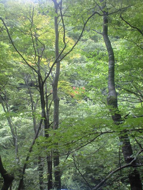 d0107938_19214268.jpg
