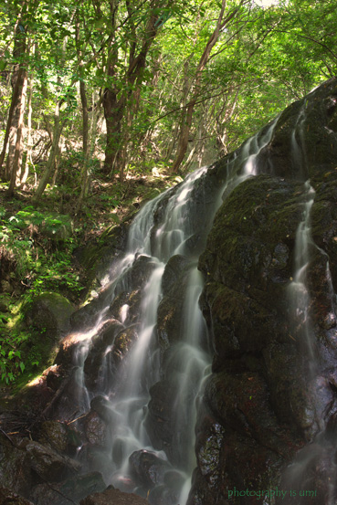 e0083238_22534787.jpg