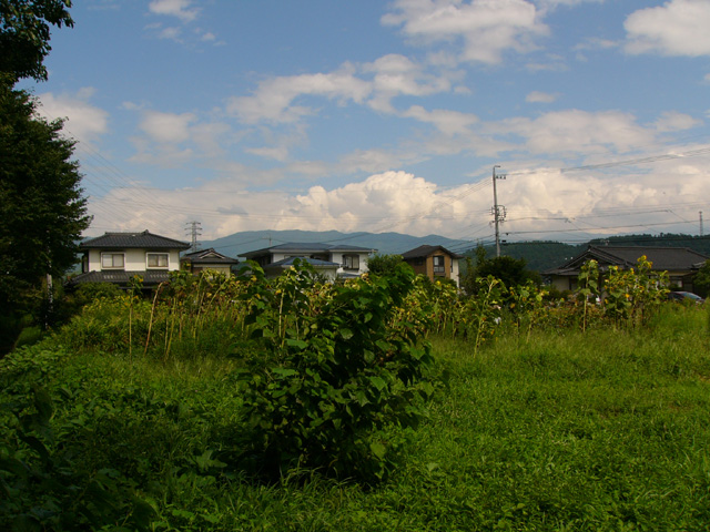 e0089438_12163488.jpg