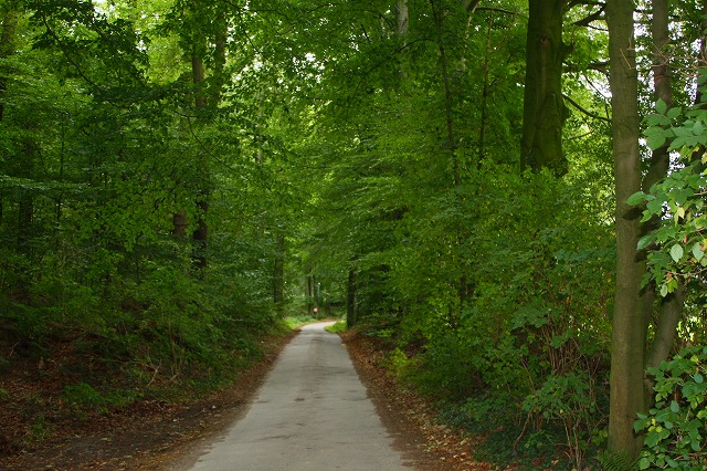 c0153740_2412037.jpg