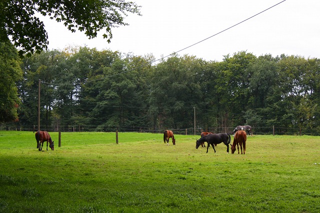 c0153740_247284.jpg