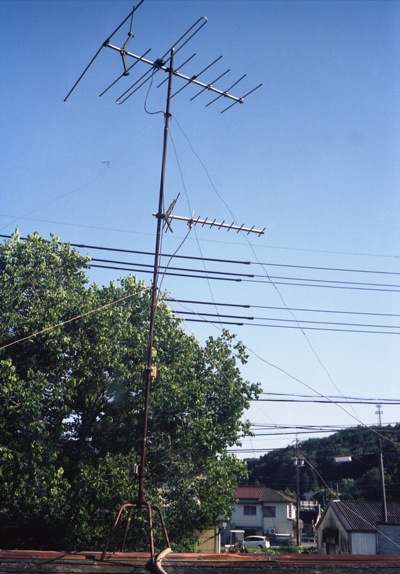 d0089742_254505.jpg