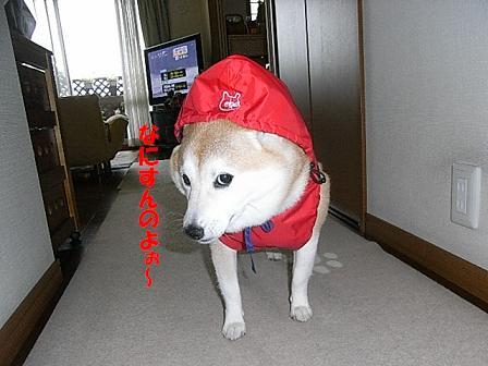 f0075043_20542126.jpg