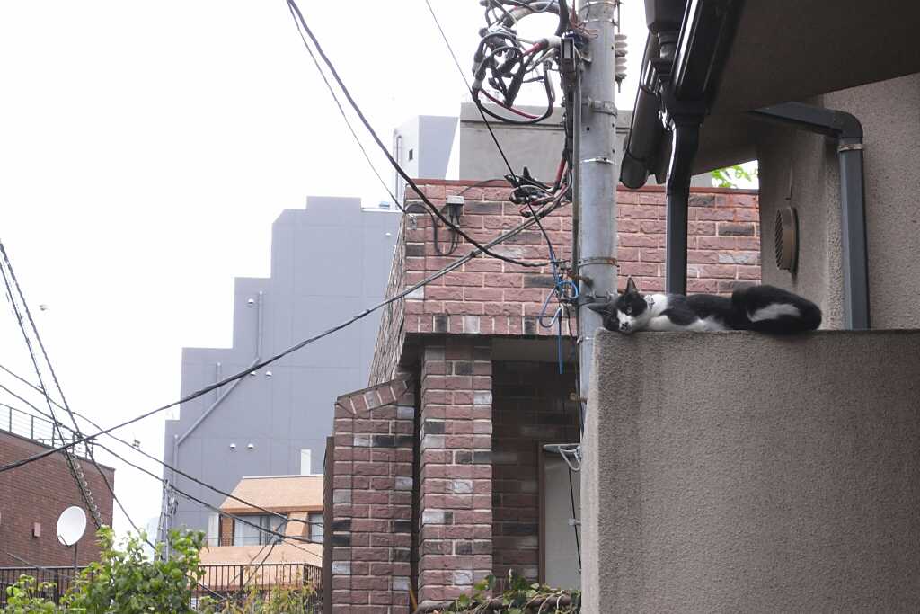 b0080944_2165995.jpg