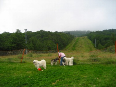 d0033151_14124970.jpg