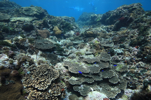 d0021952_23142924.jpg