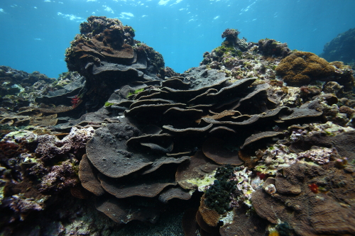 d0021952_2316543.jpg