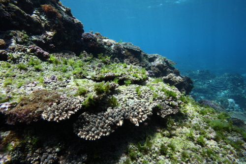 d0021952_23233665.jpg