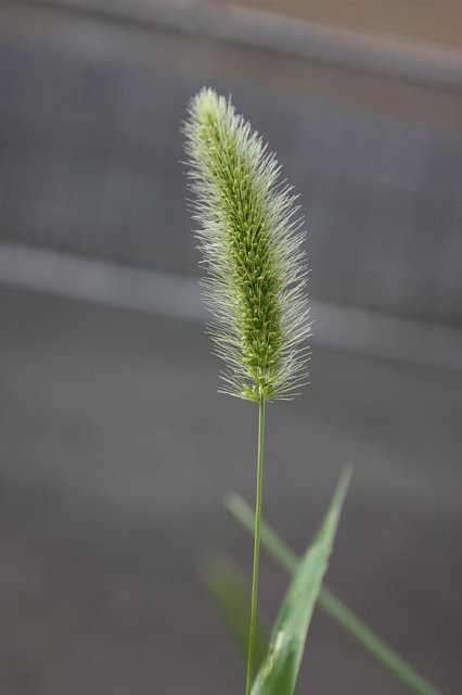 f0171559_22361564.jpg