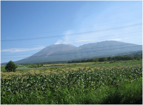 d0060163_055874.jpg