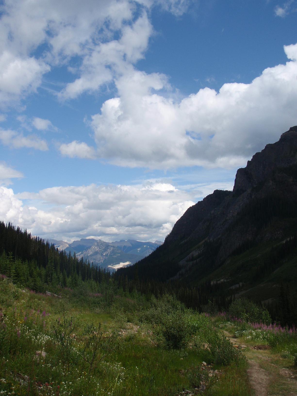 b0164067_3551384.jpg