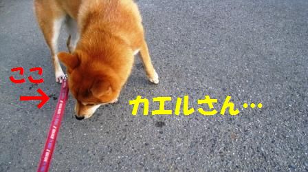 c0171368_2048139.jpg