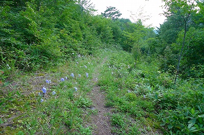 f0182173_12201051.jpg