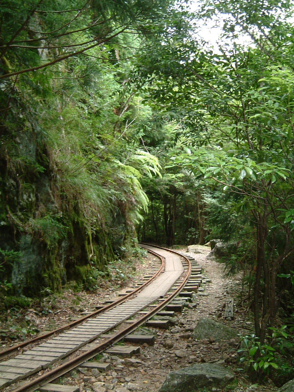 b0086377_9205546.jpg