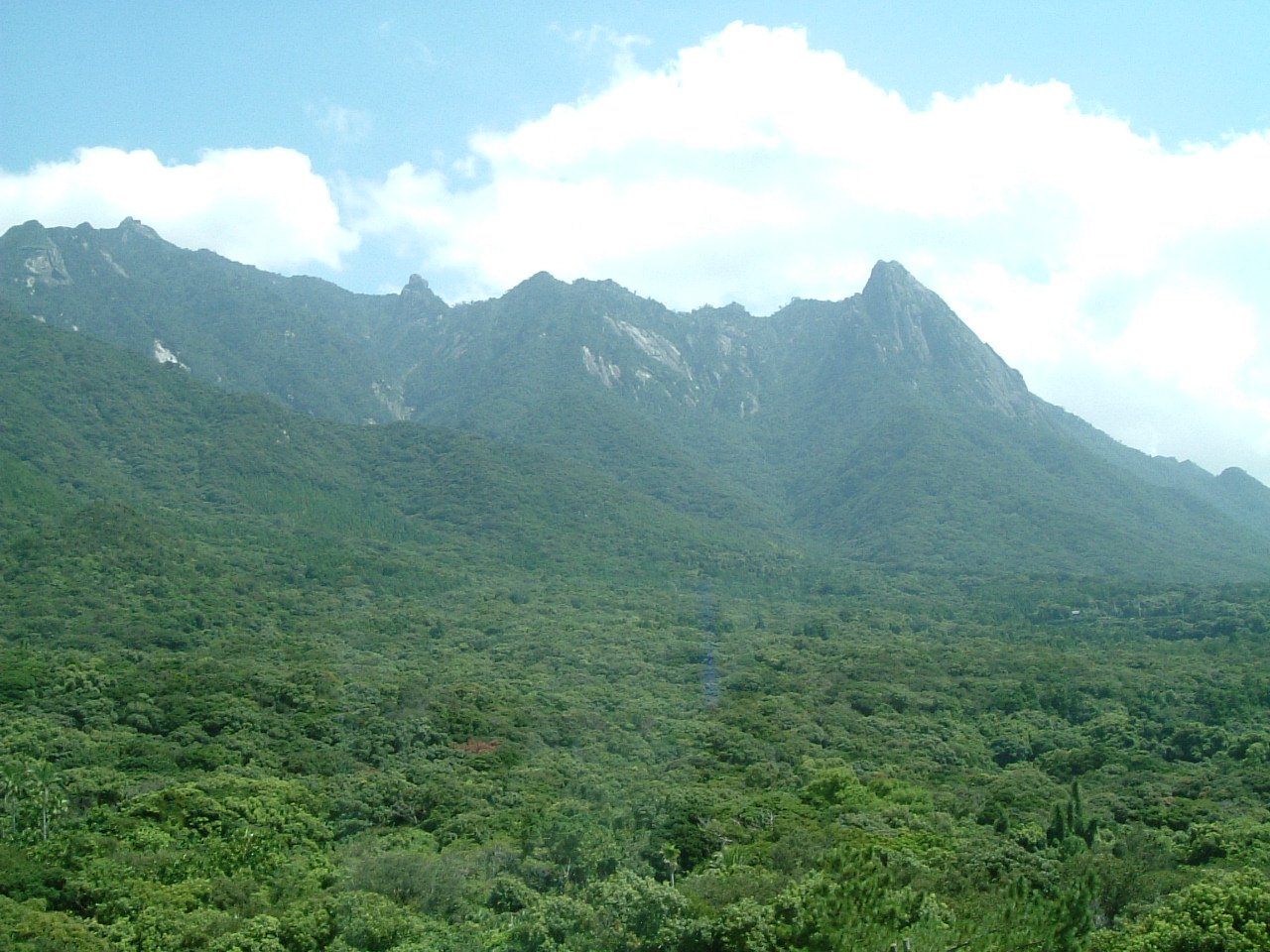 b0086377_920986.jpg