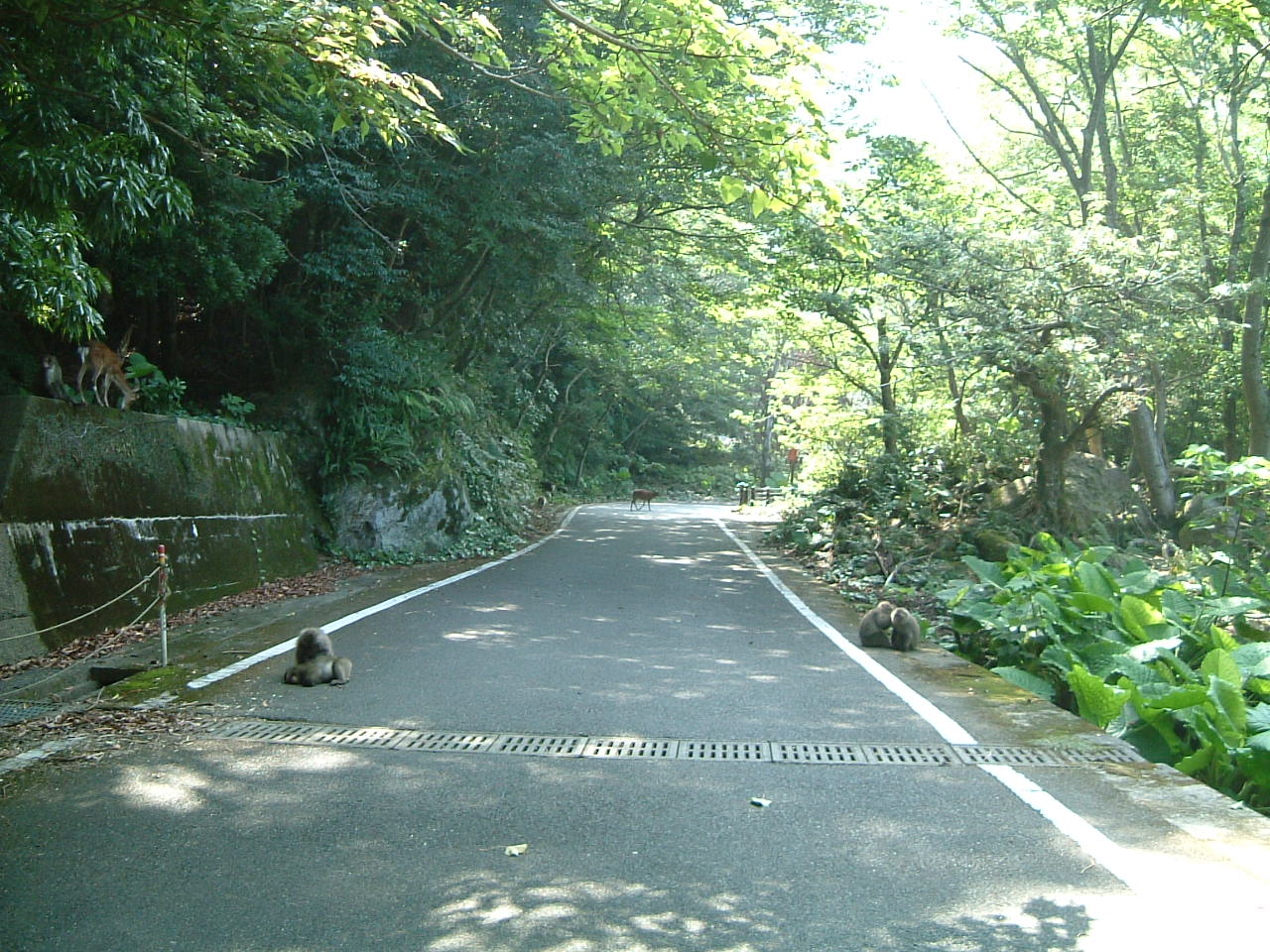 b0086377_925832.jpg