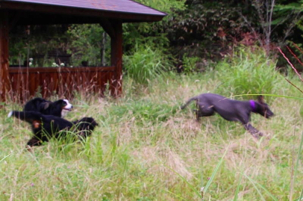c0149178_2010626.jpg