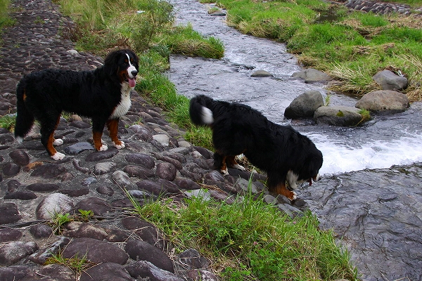 c0149178_20152051.jpg