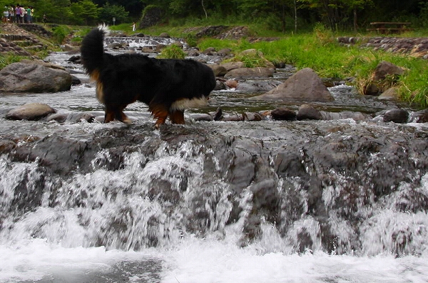 c0149178_2019518.jpg