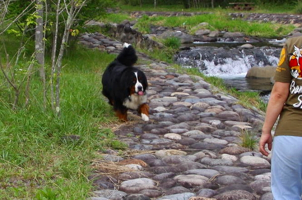 c0149178_20284210.jpg