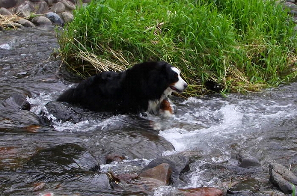 c0149178_208582.jpg