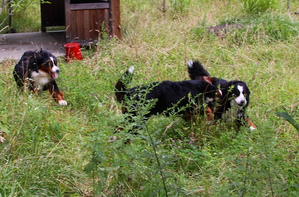 c0149178_2092065.jpg
