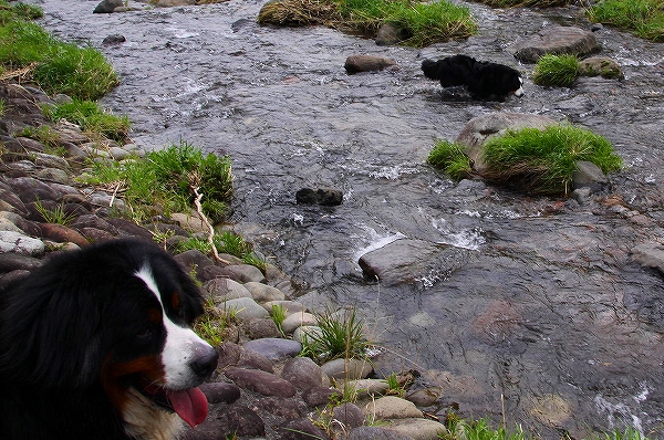 c0149178_2095114.jpg