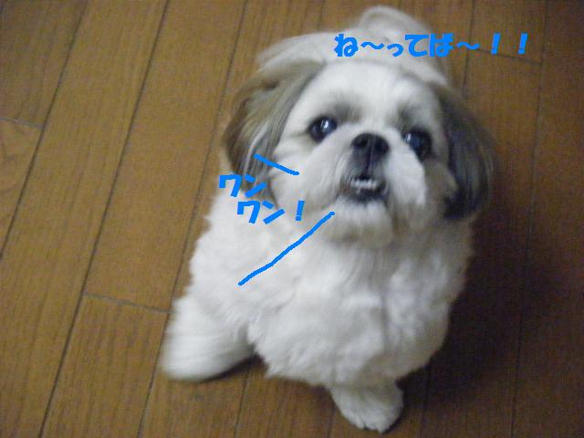 c0163878_16462868.jpg