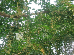 f0007580_22552426.jpg