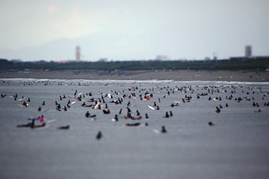 d0080882_1811827.jpg