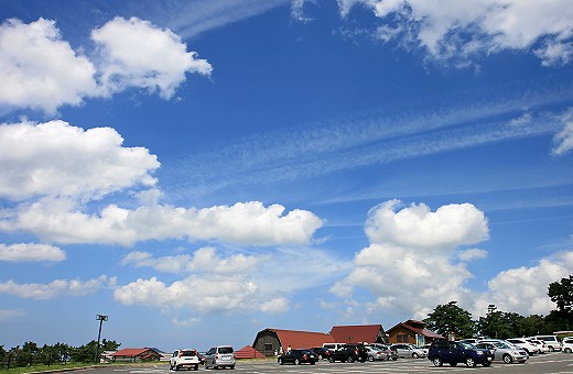 e0190885_19264841.jpg
