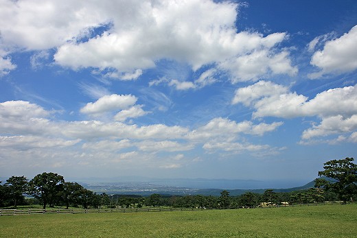 e0190885_19265715.jpg