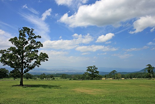 e0190885_1927966.jpg