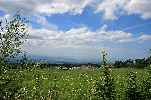 e0190885_1928052.jpg