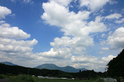 e0190885_19284631.jpg