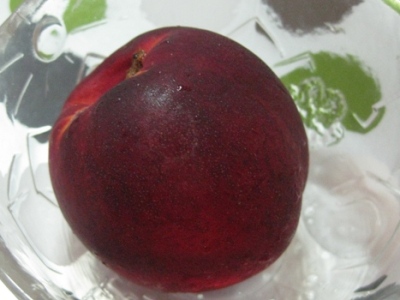 f0195286_157545.jpg